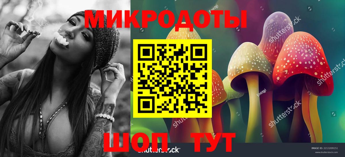 Псилоцибиновые грибы мухоморы Гусиноозёрск